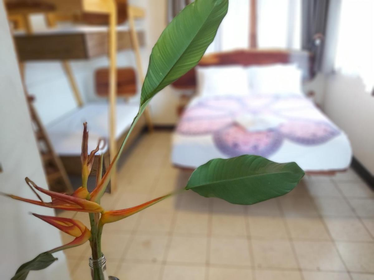 Casa Benjamin Linder Hotel Манагуа Екстериор снимка