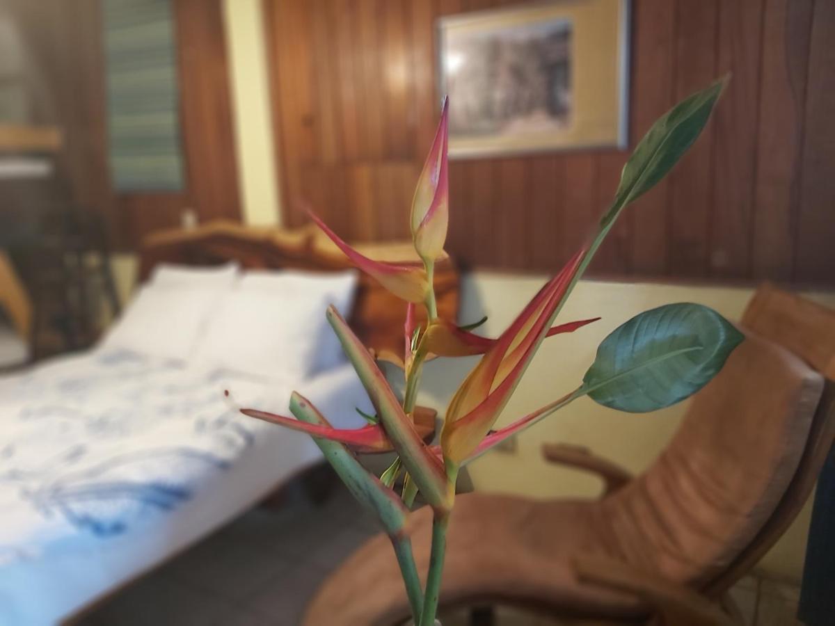 Casa Benjamin Linder Hotel Манагуа Екстериор снимка
